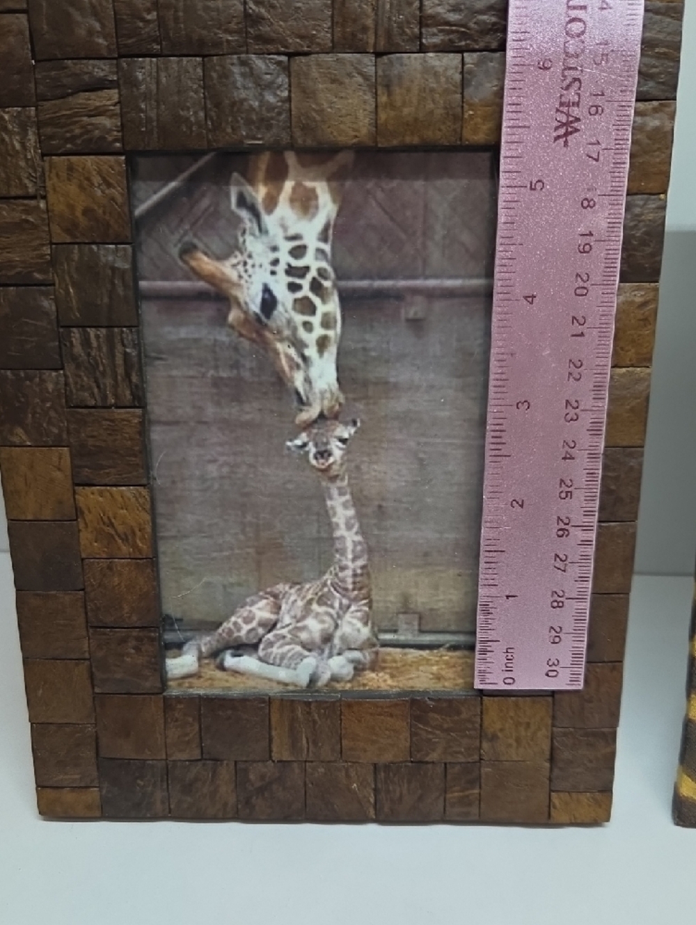 Giraffe Pattern Decorative Photo Frame  + Brown/Tan Photo Frame - Picture 5 of 14